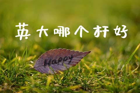 英大哪个杆好_https://wap.jnlaobingbanjia.com_基金分析_第1张
