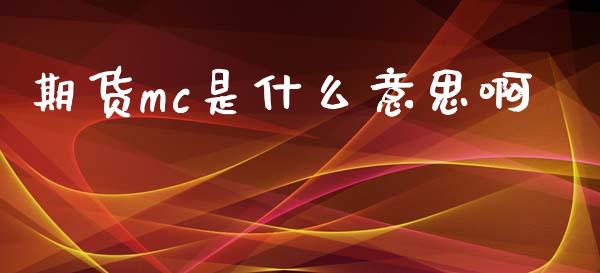 期货mc是什么意思啊_https://wap.jnlaobingbanjia.com_财务管理_第1张