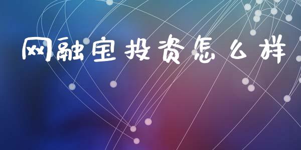 网融宝投资怎么样_https://wap.jnlaobingbanjia.com_金融理财_第1张