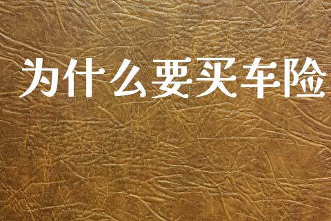 为什么要买车险_https://wap.jnlaobingbanjia.com_基金分析_第1张