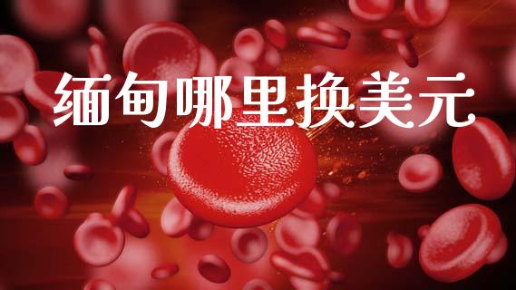 缅甸哪里换美元_https://wap.jnlaobingbanjia.com_财务管理_第1张