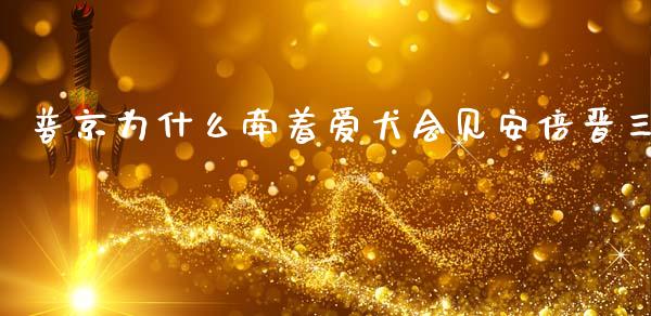 普京为什么牵着爱犬会见安倍晋三_https://wap.jnlaobingbanjia.com_金融理财_第1张