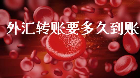 外汇转账要多久到账_https://wap.jnlaobingbanjia.com_金融理财_第1张