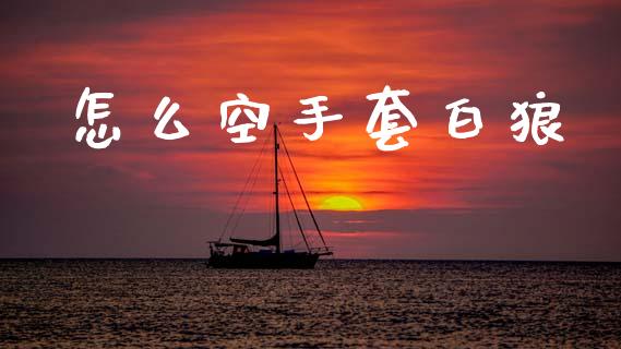 怎么空手套白狼_https://wap.jnlaobingbanjia.com_金融理财_第1张