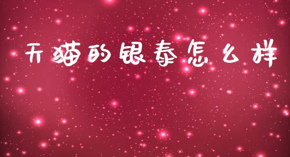 天猫的银泰怎么样_https://wap.jnlaobingbanjia.com_财务管理_第1张
