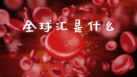 全球汇是什么_https://wap.jnlaobingbanjia.com_财经资讯_第1张