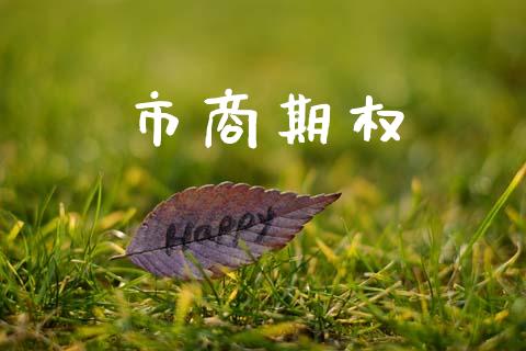 市商期权_https://wap.jnlaobingbanjia.com_财务管理_第1张