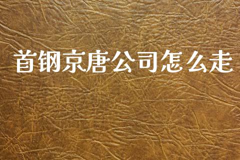 首钢京唐公司怎么走_https://wap.jnlaobingbanjia.com_财务管理_第1张