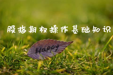股指期权操作基础知识_https://wap.jnlaobingbanjia.com_财经资讯_第1张