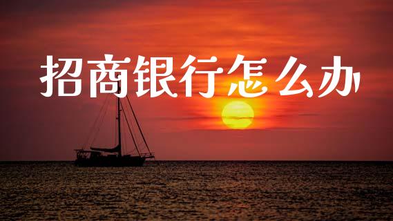 招商银行怎么办_https://wap.jnlaobingbanjia.com_证券公告_第1张