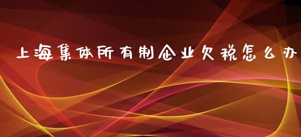 上海集体所有制企业欠税怎么办_https://wap.jnlaobingbanjia.com_证券公告_第1张