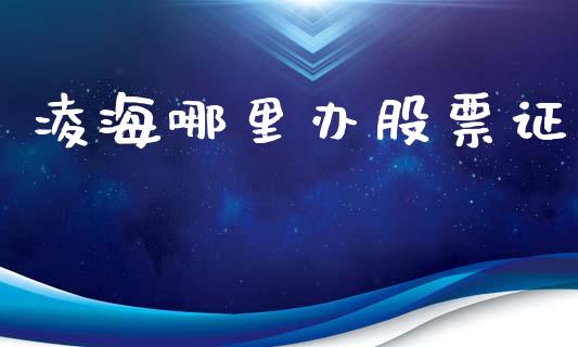 凌海哪里办股票证_https://wap.jnlaobingbanjia.com_基金分析_第1张