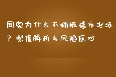 国家为什么不捅破楼市泡沫？深度解析与风险应对_https://wap.jnlaobingbanjia.com_证券公告_第1张
