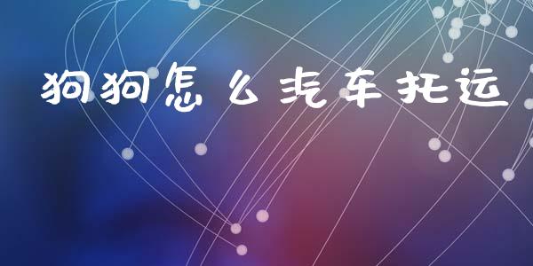 狗狗怎么汽车托运_https://wap.jnlaobingbanjia.com_金融理财_第1张