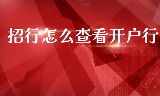 招行怎么查看开户行_https://wap.jnlaobingbanjia.com_股市行情_第1张