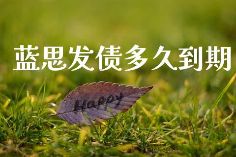 蓝思发债多久到期_https://wap.jnlaobingbanjia.com_财务管理_第1张