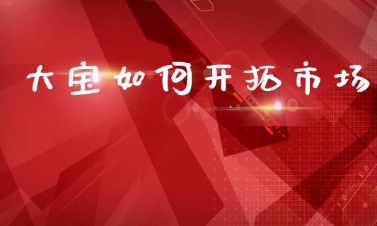 大宝如何开拓市场_https://wap.jnlaobingbanjia.com_金融理财_第1张