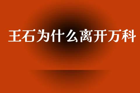 王石为什么离开万科_https://wap.jnlaobingbanjia.com_财务管理_第1张
