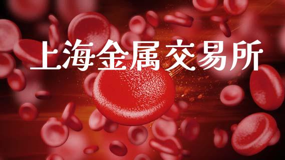 上海金属交易所_https://wap.jnlaobingbanjia.com_股市行情_第1张