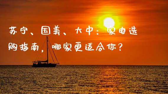 苏宁、国美、大中：家电选购指南，哪家更适合你？_https://wap.jnlaobingbanjia.com_财务管理_第1张