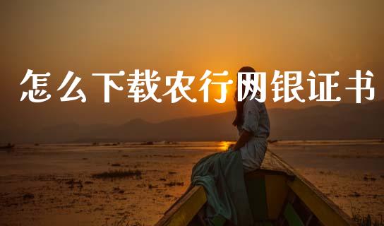 怎么下载农行网银证书_https://wap.jnlaobingbanjia.com_证券公告_第1张