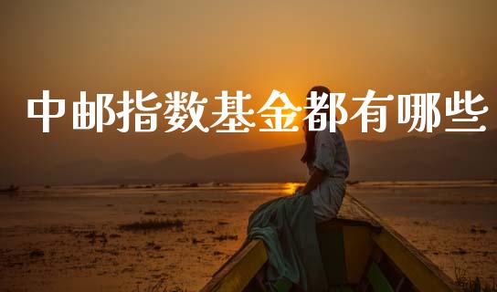 中邮指数基金都有哪些_股市行情_第1张_财经资讯_股市行情_财务管理_金融理财 中邮指数基金都有哪些_https://wap.jnlaobingbanjia.com_股市行情_第1张