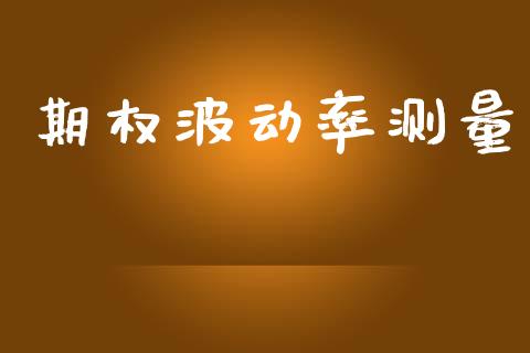 期权波动率测量_https://wap.jnlaobingbanjia.com_基金分析_第1张