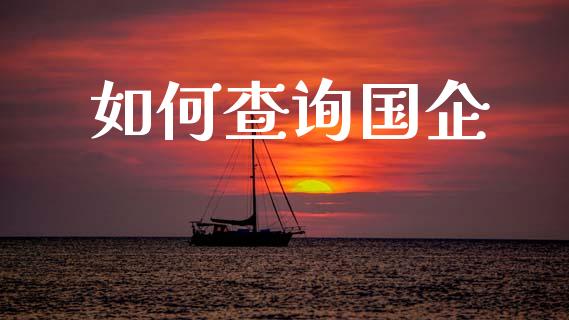 如何查询国企_https://wap.jnlaobingbanjia.com_证券公告_第1张