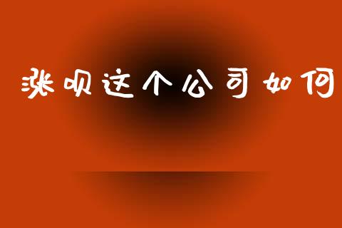 涨呗这个公司如何_https://wap.jnlaobingbanjia.com_金融理财_第1张