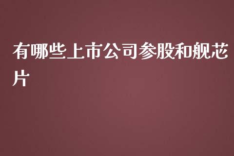 有哪些上市公司参股和舰芯片_https://wap.jnlaobingbanjia.com_财经资讯_第1张