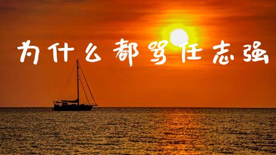 为什么都骂任志强_https://wap.jnlaobingbanjia.com_金融理财_第1张
