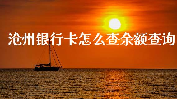 沧州银行卡怎么查余额查询_https://wap.jnlaobingbanjia.com_财务管理_第1张