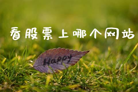 看股票上哪个网站_https://wap.jnlaobingbanjia.com_基金分析_第1张