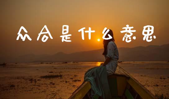 众合是什么意思_https://wap.jnlaobingbanjia.com_金融理财_第1张
