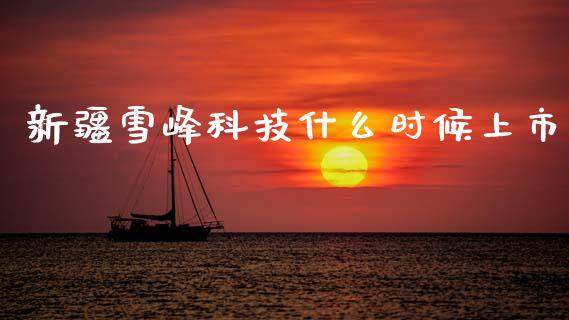 新疆雪峰科技什么时候上市_https://wap.jnlaobingbanjia.com_金融理财_第1张