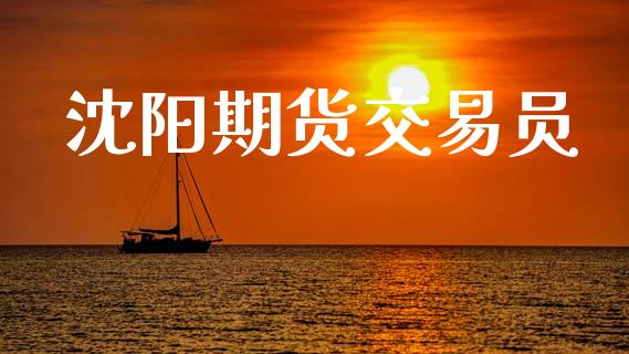 沈阳期货交易员_https://wap.jnlaobingbanjia.com_证券公告_第1张