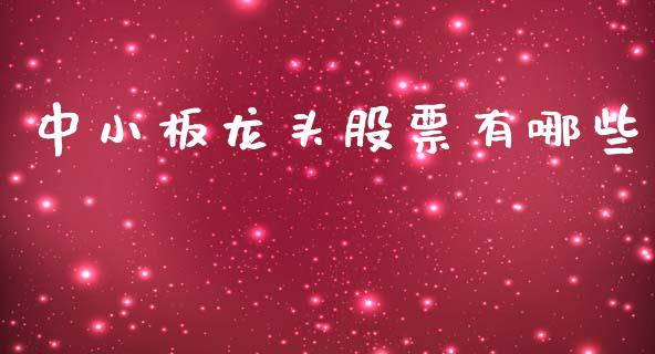 中小板龙头股票有哪些_https://wap.jnlaobingbanjia.com_股市行情_第1张