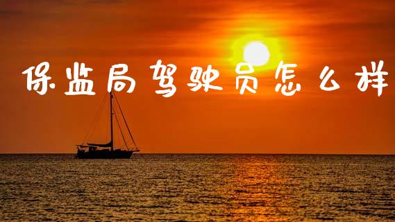 保监局驾驶员怎么样_https://wap.jnlaobingbanjia.com_财务管理_第1张