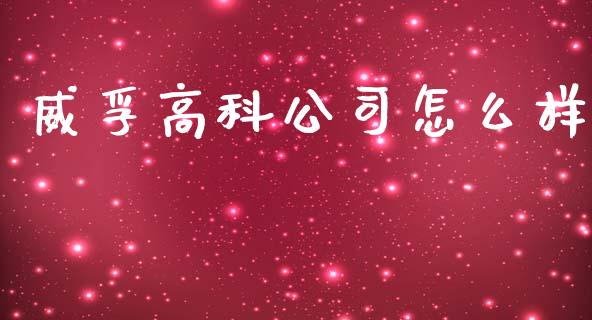威孚高科公司怎么样_https://wap.jnlaobingbanjia.com_证券公告_第1张