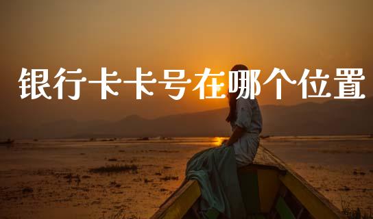 银行卡卡号在哪个位置_https://wap.jnlaobingbanjia.com_基金分析_第1张