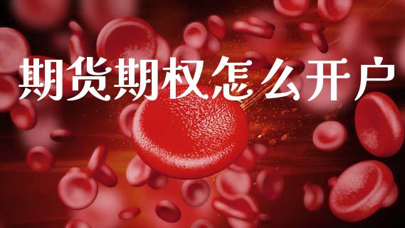 期货期权怎么开户_https://wap.jnlaobingbanjia.com_财务管理_第1张