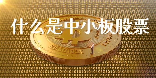 什么是中小板股票_https://wap.jnlaobingbanjia.com_金融理财_第1张