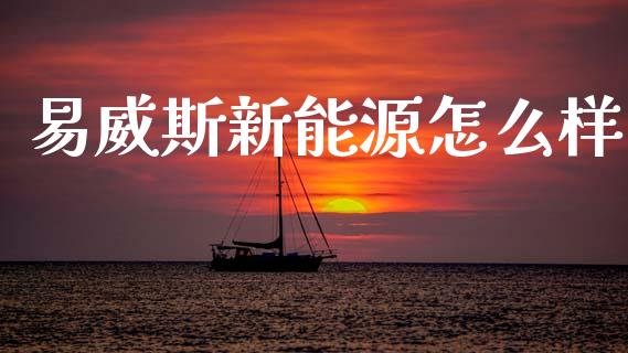 易威斯新能源怎么样_https://wap.jnlaobingbanjia.com_财务管理_第1张