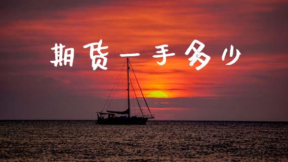 期货一手多少_https://wap.jnlaobingbanjia.com_基金分析_第1张
