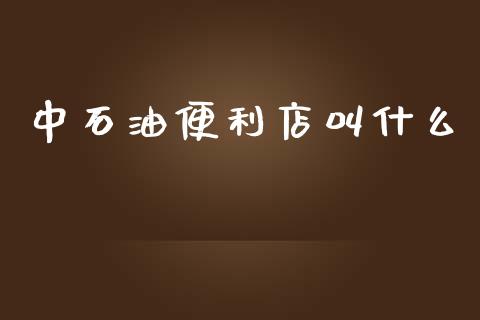 中石油便利店叫什么_https://wap.jnlaobingbanjia.com_基金分析_第1张