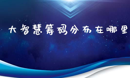 大智慧筹码分布在哪里_https://wap.jnlaobingbanjia.com_财务管理_第1张