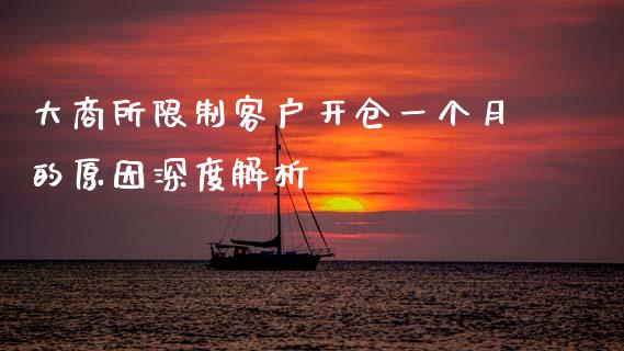 大商所限制客户开仓一个月的原因深度解析_https://wap.jnlaobingbanjia.com_基金分析_第1张