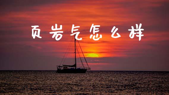 页岩气怎么样_https://wap.jnlaobingbanjia.com_财务管理_第1张