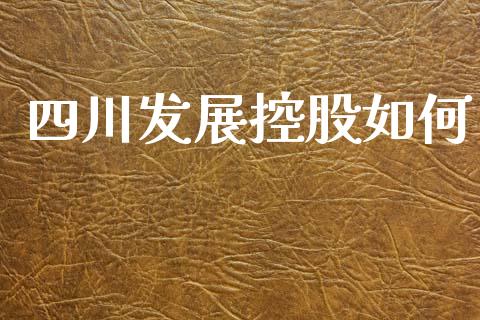 四川发展控股如何_https://wap.jnlaobingbanjia.com_金融理财_第1张