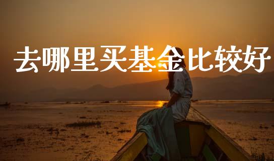 去哪里买基金比较好_https://wap.jnlaobingbanjia.com_金融理财_第1张